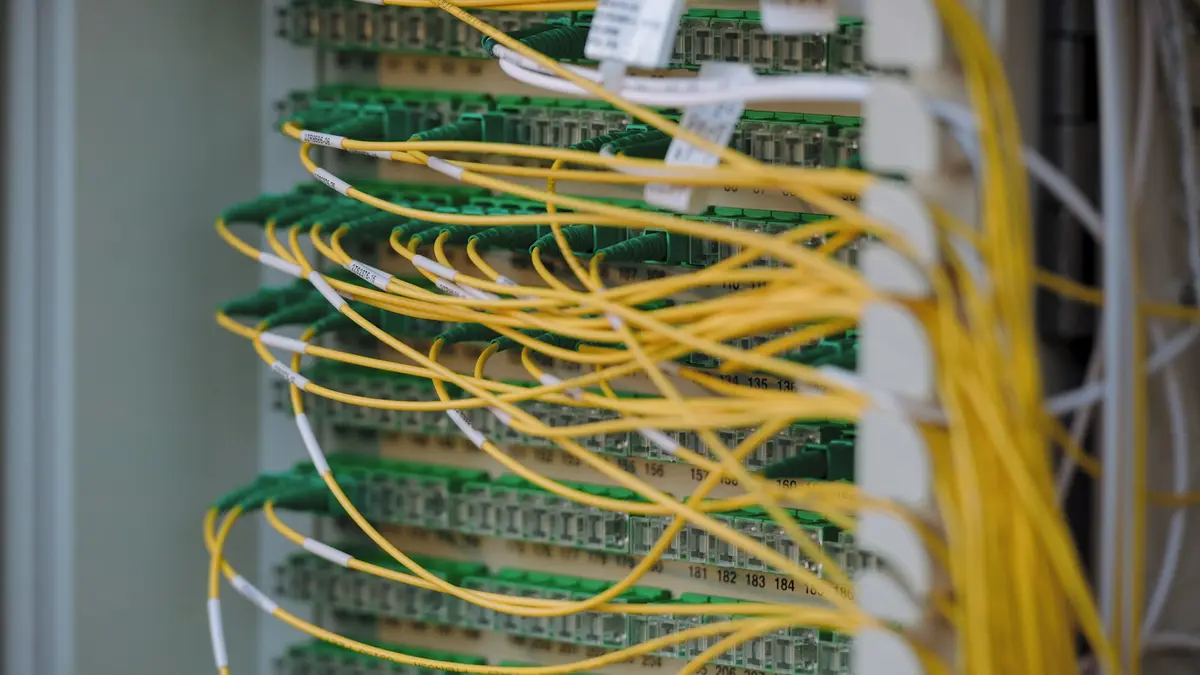 A fiber optic patch panel with yellow and green cables routed in dense ordered rows.