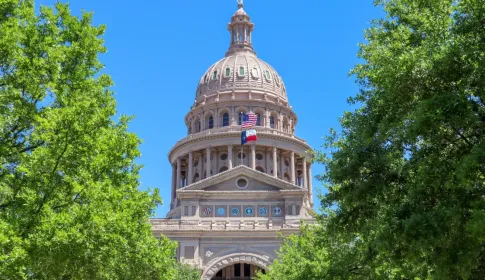 Texas State Capitol dome in Austin framed by green trees; with US and Texas flags flying under a clear blue sky.