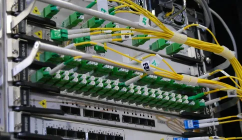 A fiber optic patch panel with green and yellow cables routed in dense ordered rows.