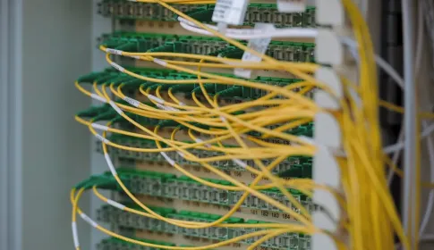 A fiber optic patch panel with yellow and green cables routed in dense ordered rows.