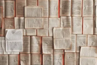 Dozens of open book pages laid edge to edge, filling the frame with printed text.
