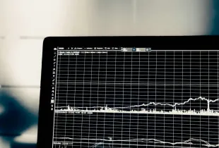 A computer monitor displaying a fine-grained time-series line chart on a dark background.