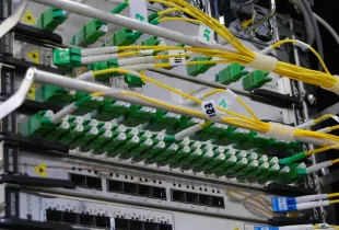 A fiber optic patch panel with green and yellow cables routed in dense ordered rows.
