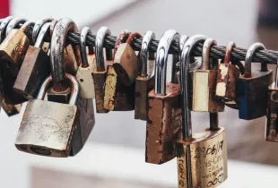 A row of weathered brass and steel padlocks fastened side by side along a metal rail.