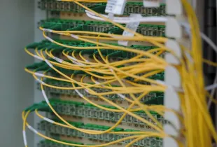 A fiber optic patch panel with yellow and green cables routed in dense ordered rows.